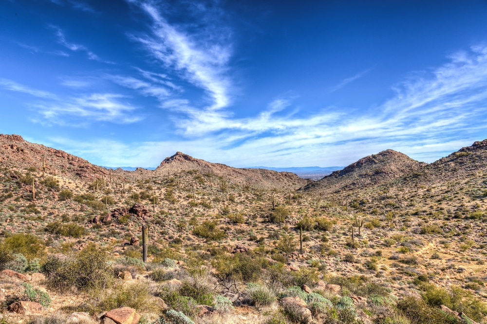 Arizona-waddell-white,Tank,Mountain,Regional,Park.,The,Mesquite,Trail,Exhibits,Spectacular