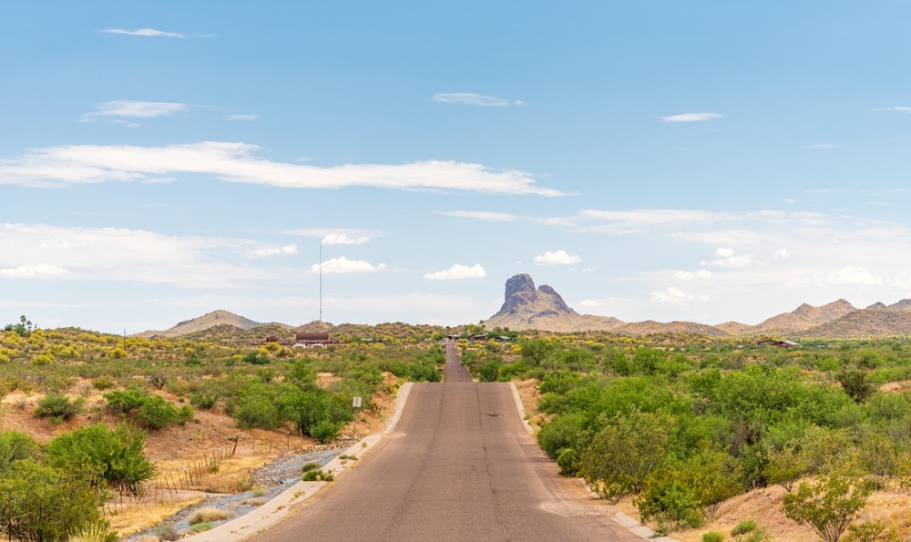 Desert road through desert. West USA Realty | Carl Chapman, REALTOR