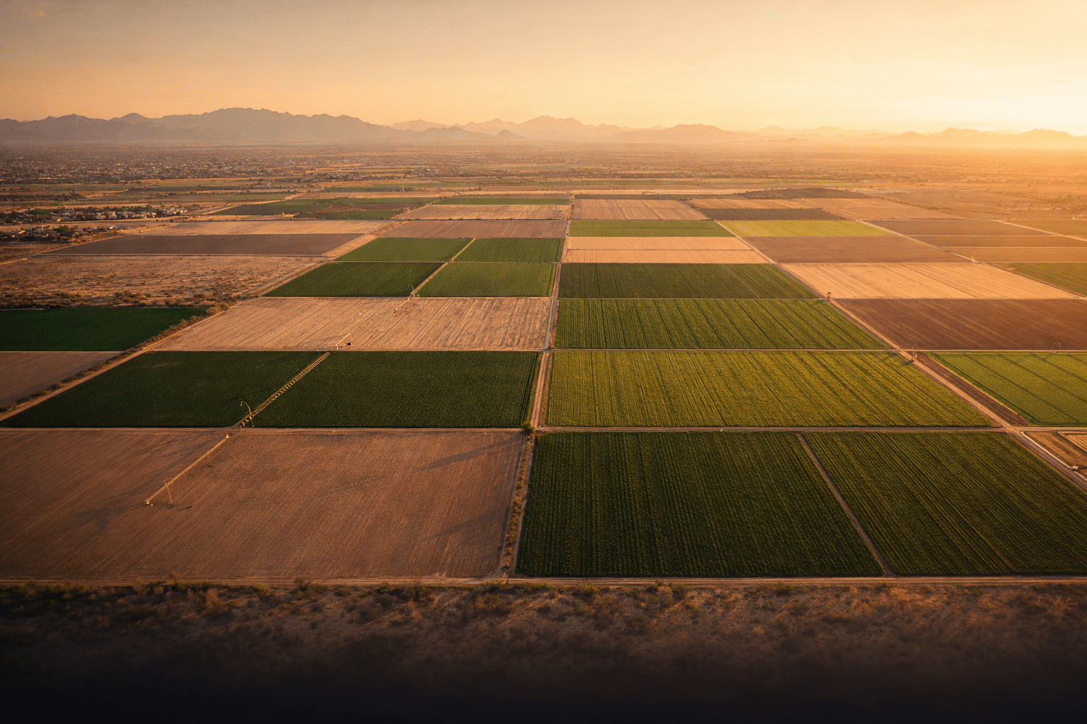 Pinal County agricultural landscape near Coolidge Arizona at golden hour with green winter fields and distant mountain ranges — West USA Realty