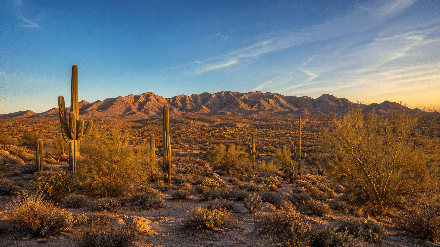 photograph of the Sonoran desert near Surprise, Arizona, at golden hour