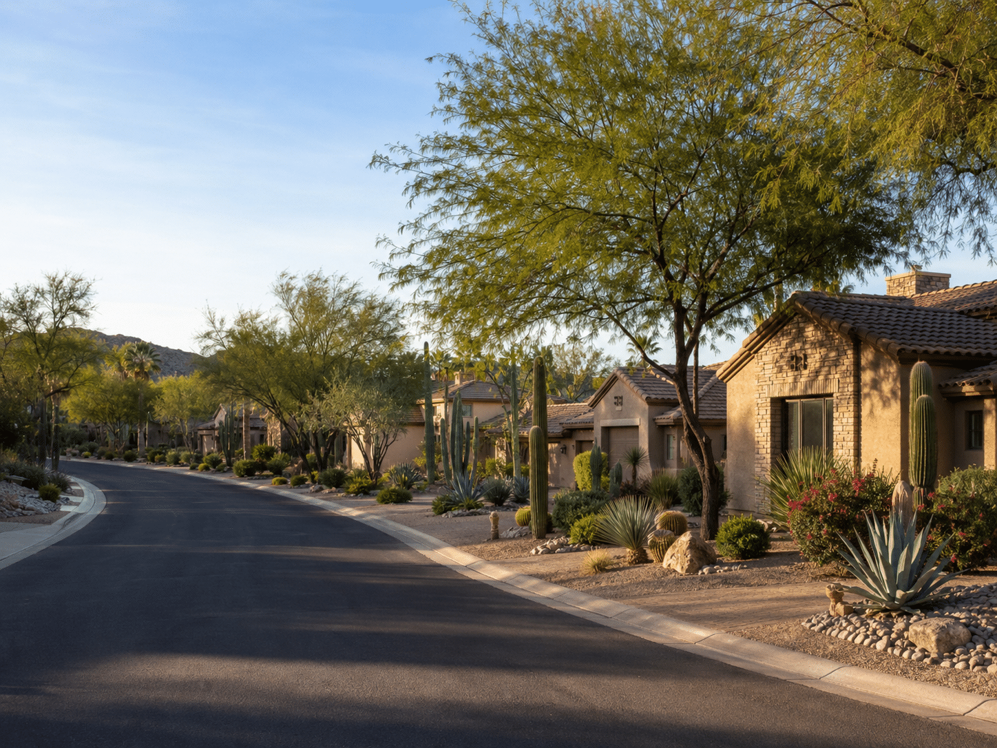Sweetwater Ranch homes for sale with desert landscaping and mountain views