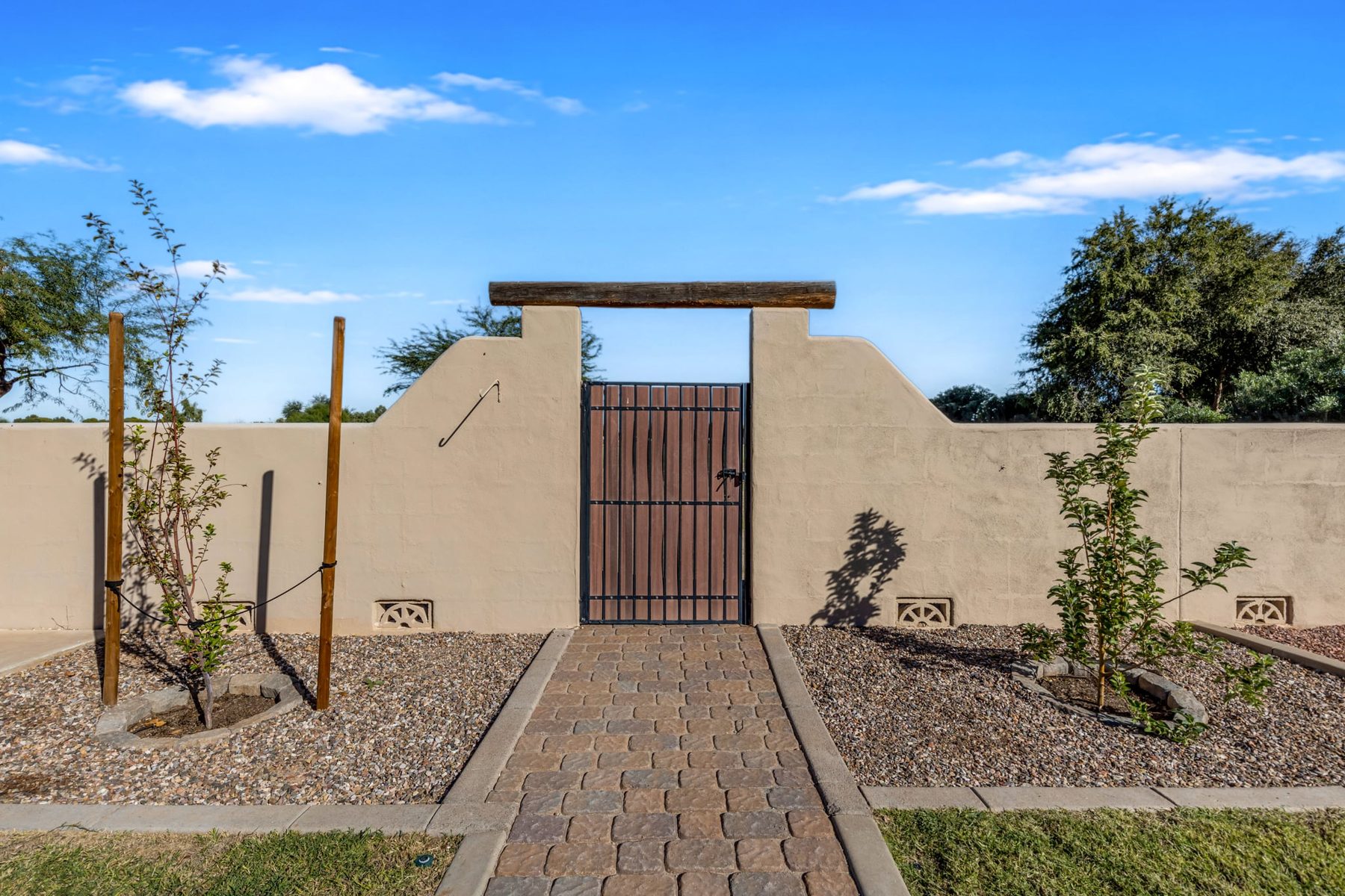 Paver walk to the gate in the back wall, with new trees planted on each side